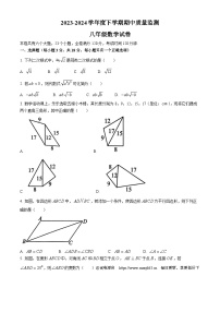 江西省宜春市高安市2023-2024学年八年级下学期期中数学试题