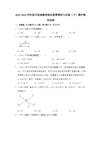 四川省成都市棕北教育集团2023-2024学年七年级下学期期中考试数学试卷