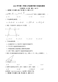 ，上海市崇明区部分学校联考（五四制）2023-2024学年七年级下学期期中考试数学试题