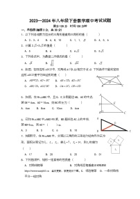 广东省湛江市雷州市雷州市第二中学2023—2024学年八年级下学期4月期中数学试题