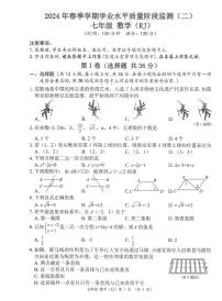 广西河池市2023-2024学年七年级下学期期中考试数学试题