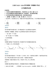 湖北省黄石市大冶市2023-2024学年七年级下学期期中数学试题