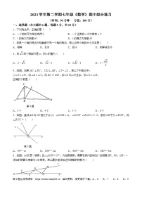 上海市浦东新区上海浦东民办未来科技学校2023-2024学年七年级下学期期中数学试题(无答案)