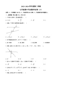 广东省汕头市潮南区陈店镇2023-2024学年七年级下学期期中数学试题（原卷版+解析版）