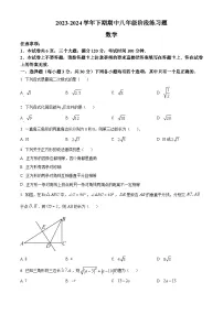 河南省周口市西华县2023-2024学年八年级下学期期中数学试题（原卷版+解析版）