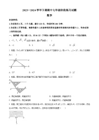 河南省周口市西华县2023-2024学年七年级下学期4月期中数学试题（原卷版+解析版）