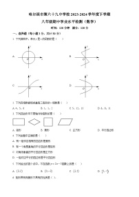 黑龙江省哈尔滨市第六十九中学校2023-2024学年八年级下学期期中数学试题（原卷版+解析版）