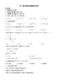 黑龙江省齐齐哈尔市铁锋区2023-2024学年七年级下学期期中数学试题（原卷版+解析版）