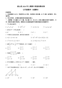 湖南省永州市蓝山县2023-2024学年七年级下学期期中数学试题（原卷版+解析版）