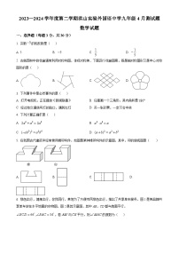 湖北省武汉市洪山区未来实验外国语学校2023-2024学年九年级下学期月考数学试题（原卷版+解析版）