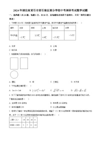 2024年湖北省黄石市黄石港区部分学校中考模拟数学试题（原卷版+解析版）