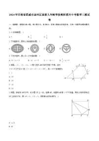 2024年甘肃省武威市凉州区西营九年制学校教研联片中考数学三模试卷