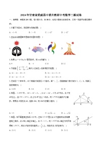 2024年甘肃省武威四中联片教研中考数学二模试卷