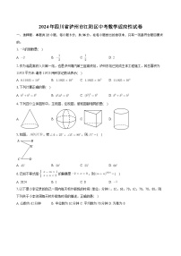 2024年四川省泸州市江阳区中考数学适应性试卷