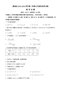 福建省宁德市霞浦县2023-2024学年七年级下学期期中数学试题（原卷版+解析版）