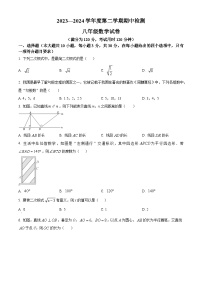 广东省云浮市罗定市2023-2024学年八年级下学期期中数学试题（原卷版+解析版）