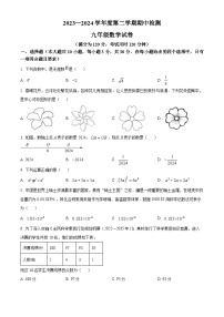 广东省云浮市罗定市2023-2024学年九年级下学期期中数学试题（原卷版+解析版）