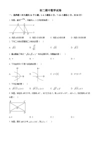 河北省邯郸市丛台区邯郸市汉光中学2023-2024学年八年级下学期期中数学试题（原卷版+解析版）