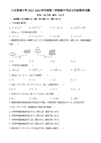 安徽省六安金安区六安皋城中学2023-2024学年七年级下学期期中数学试题（原卷版+解析版）