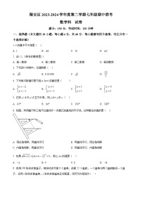 福建省厦门市翔安区2023-2024学年七年级下学期期中数学试题（原卷版+解析版）