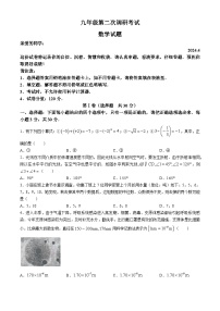 2024年山东省枣庄市薛城区中考二模数学试题