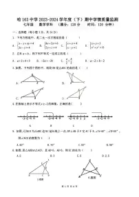 黑龙江省哈尔滨市第一六三中学2023-2024学年七年级下学期期中试卷数学试题