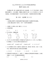 2024年四川省乐山市市中区中考适应性考试数学试题