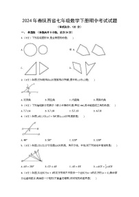 2024年春陕西省七年级数学下册期中考试试题（含答案）