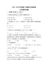 河北省秦皇岛市昌黎县2023-2024学年七年级下册期中数学试题（含解析）