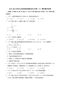 2023-2024学年山东省济南市商河县七年级（下）期中数学试卷