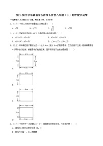 2021-2022学年湖南省长沙市长沙县八年级（下）期中数学试卷