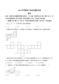 河南省驻马店市驿城区2024届九年级下学期中考一模数学试卷（含解析）