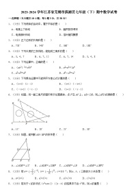 +江苏省无锡市滨湖区2023-2024学年七年级下学期期中数学试卷