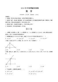 2024年中考押题预测卷（河北卷）数学（考试版A4）