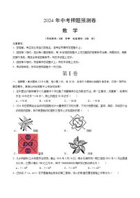 2024年中考押题预测卷（湖北省卷）数学（考试版A4）