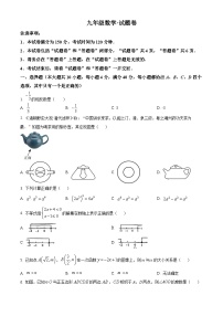 安徽省六安市舒城县仁峰实验学校2023-2024学年九年级下学期期中数学试题（原卷版+解析版）