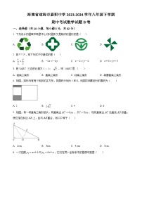 海南省琼海市嘉积中学2023-2024学年八年级下学期期中考试数学试题B卷（原卷版+解析版）