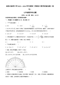 海南省省直辖县级行政单位琼海市嘉积中学2023-2024学年七年级下学期期中数学试题（原卷版+解析版）