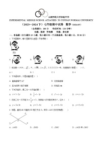 云南省昆明市云南师范大学实验中学2023-2024学年七年级下学期期中数学试题（原卷版+解析版）