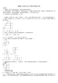 2024 年湖北省中考数学模拟试卷（解析版）
