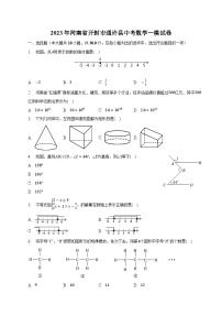 河南省开封市通许县2023届九年级下学期中考一模数学试卷(含解析)