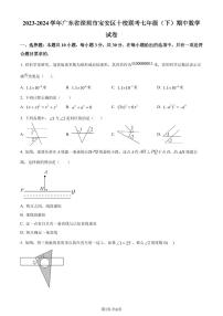 广东深圳宝安区十校联考2024年七年级下学期期中数学试题