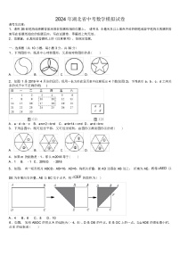 2024 年湖北省中考数学模拟试卷（解析版）