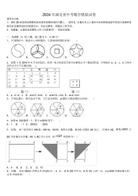 2024 年湖北省中考数学模拟试卷（解析版）