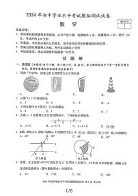 62，2024年湖南省益阳市沅江市中考一模数学试题