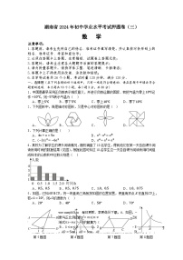 65，2024年湖南省初中学业水平考试数学押题卷（三）