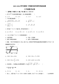 219，安徽省马鞍山第七中学2023-2024学年八年级下学期期中数学试题(无答案)