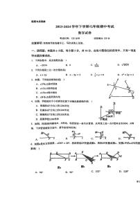 225，江西省新余市第四中学2023-2024学年七年级下学期期中考试数学试卷