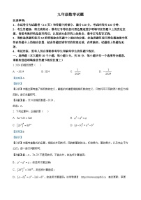 06，2024年四川省广安市广安区 中考二模考试数学模拟试题