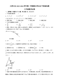 06，宁夏回族自治区石嘴山市大武口区2023-2024学年八年级上学期期末数学试题(无答案)